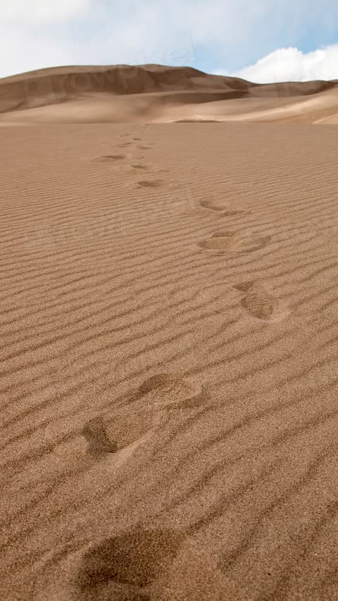 wide rippled sand dunes under a blue sky