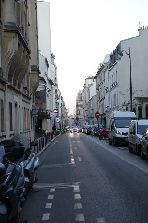 a Paris street lined with cream stone buildings and parked cars